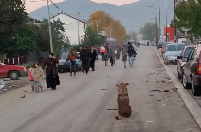 Neue Flüchtlinge kommen an, beobachtet von einem Straßenhund.