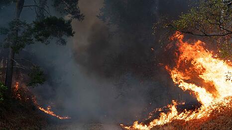 Die Ursache des Waldbrandes ist bislang nicht bekannt.