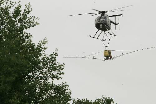 Sogar Hubschrauber wurden im Kampf gegen die unaufhaltsame Invasion der Raupen eingesetzt.