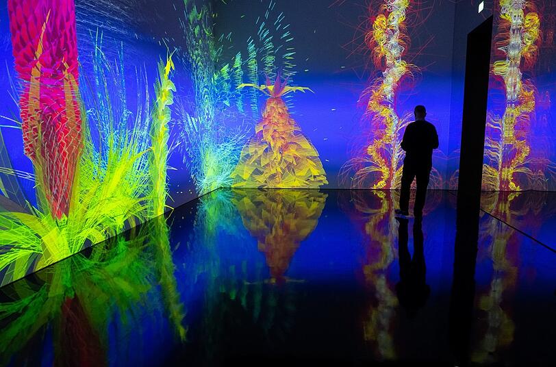 Die interaktive Installation „Extra-Natural“ von Miguel Chevalier.