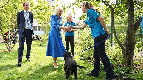 Königin Camilla gilt als große Hundefreundin.