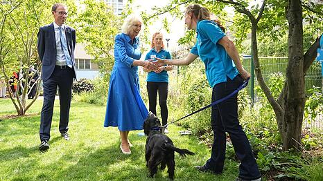 Königin Camilla gilt als große Hundefreundin.