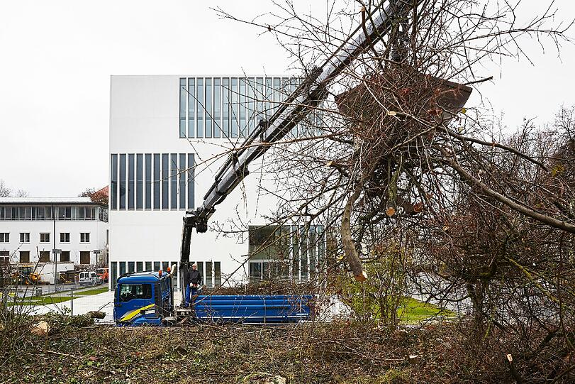 Hier wird das Gestrüpp entfernt.