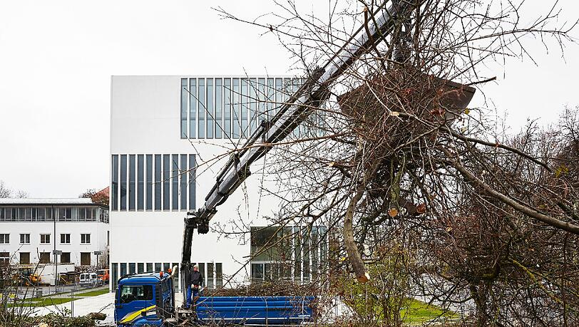 Hier wird das Gestrüpp entfernt. Hier wird das Gestrüpp entfernt.