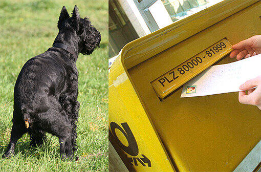 Die Post jagt die Breifkasten-Saubären: Wer schmeißt Tüten mit Hundehaufen in die Post?
