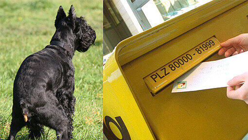 Die Post jagt die Breifkasten-Saubären: Wer schmeißt Tüten mit Hundehaufen in die Post? Die Post jagt die Breifkasten-Saubären: Wer schmeißt Tüten mit Hundehaufen in die Post?