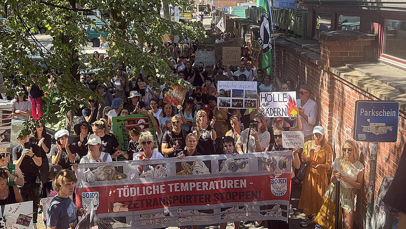 250 Menschen haben am Freitag vor dem M&uuml;nchner Schlachthof gegen die qualvollen Tiertransporte demonstriert.