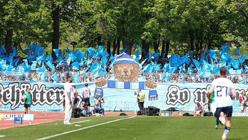Sorgten beim vergangenen Aufeinandertreffen für eine Choreo: Die Fans des TSV 1860. Sorgten beim vergangenen Aufeinandertreffen für eine Choreo: Die Fans des TSV 1860.