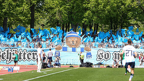 Sorgten beim vergangenen Aufeinandertreffen f&uuml;r eine Choreo: Die Fans des TSV 1860.