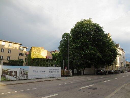 Anfang August standen die Bäume rechts noch auf dem Grunstück. Links werden die "Lehel-Höfe" beworben, die an der Oettingenstraße 6 bis 8 entstehen.