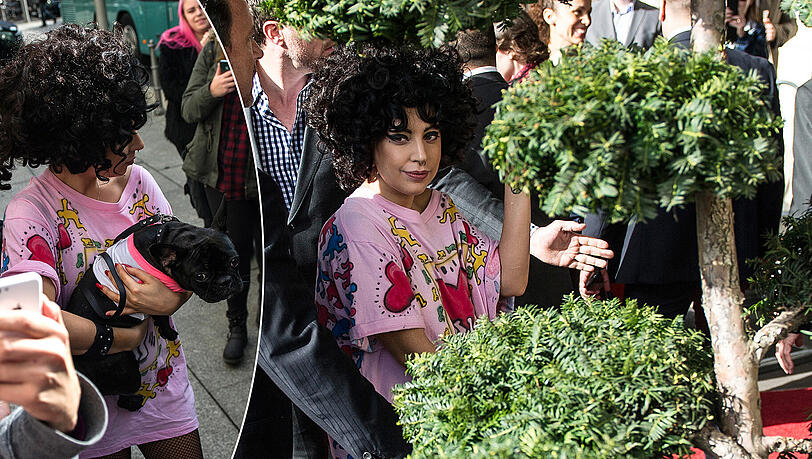 Lady Gaga ist mit Hund und Wuschelkopf in Berlin unterwegs. Lady Gaga ist mit Hund und Wuschelkopf in Berlin unterwegs.