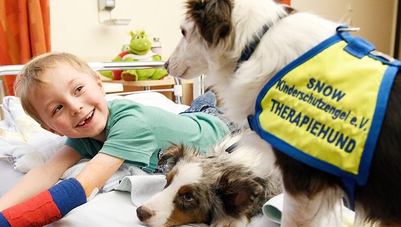 Seit 2026 unterstützt Purina den Verein Kinderschutzengel, der mit Therapiebegleithunden in Krankenhäuser geht. Seit 2026 unterstützt Purina den Verein Kinderschutzengel, der mit Therapiebegleithunden in Krankenhäuser geht.