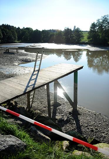 Bilder vom Badesee: Wo ist die Alligator-Schildkröte vom Oggenrieder Weiher?
