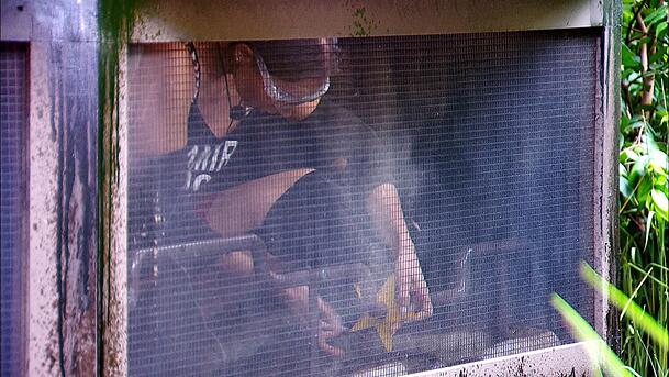 F&uuml;r Samira Yavuz geht es in kleine Boxen mit vielen Tieren.