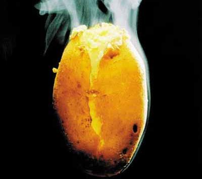Kartoffeln machen dick! Ja, aber nur als Pommes, Bratkartoffeln oder Salat. Pellkartoffeln sind gesund und sind, weil sie länger satt machen, sogar eine Hilfe beim Abnehmen.