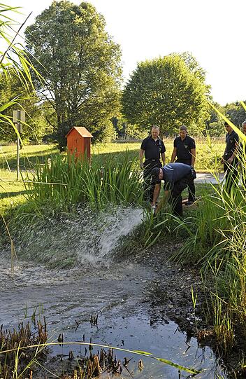 ... haben Einsatzkräfte der Feuerwache Sendling frisches Wasser in die vier Biotope an der Neurieder Straße geleitet.