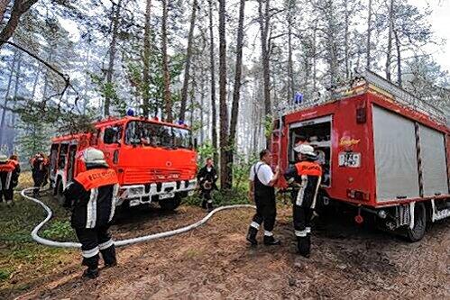 Die Feuerwehr musste an sieben Brandorte ausrücken, um die Flammen in den Griff zu bekommen.