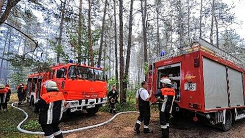 Die Feuerwehr musste an sieben Brandorte ausrücken, um die Flammen in den Griff zu bekommen. Die Feuerwehr musste an sieben Brandorte ausrücken, um die Flammen in den Griff zu bekommen.