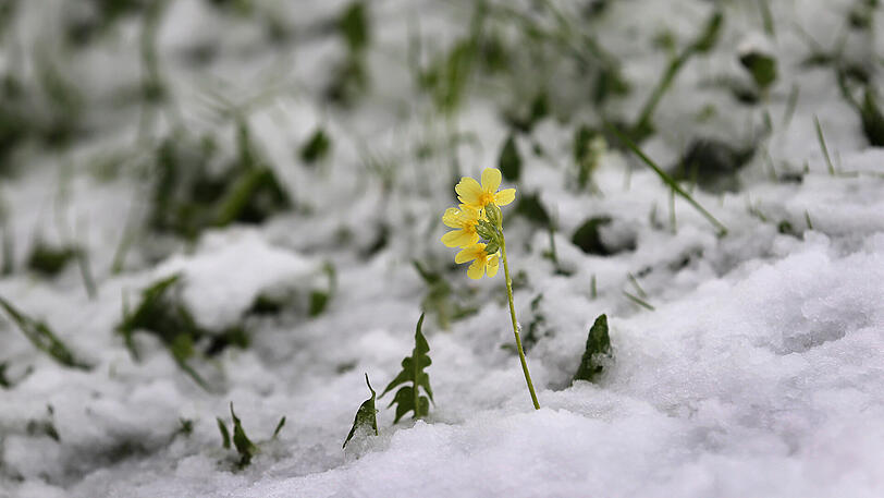 Bereits am Montag hatte es in Franken geschneit.