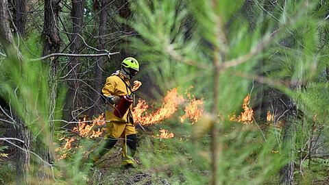 In der Waldbrandregion an der franz&ouml;sischen Atlantikk&uuml;ste gibt es ein vorsichtiges Aufatmen f&uuml;r Einsatzkr&auml;fte und Bev&ouml;lkerung.
