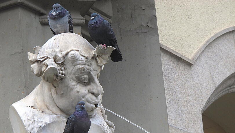 Er spuckt unbeeindruckt. Er spuckt unbeeindruckt.