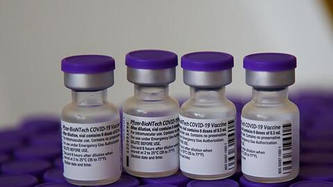 Fläschchen mit Biontech Pfizer Impfstoff warten auf ihren Einsatz.