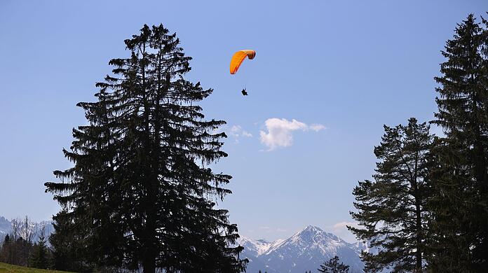 Ein Gleitschirmflieger gleitet am Buchenberg im Allgäu über eine Bergwiese. (Archivbild)