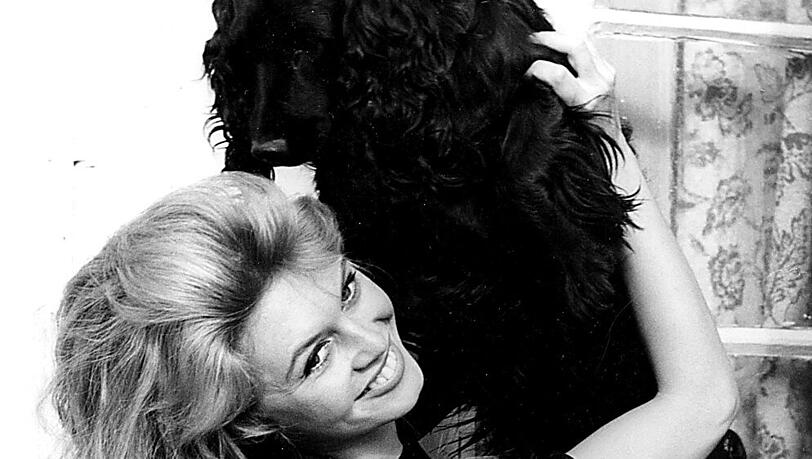 Filmlegende Brigitte Bardot ist seit dem Ende ihrer Karriere als Tierschutzaktivistin aktiv. Filmlegende Brigitte Bardot ist seit dem Ende ihrer Karriere als Tierschutzaktivistin aktiv.