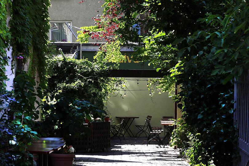 Blick in einen schön eingewachsenen Hinterhof.