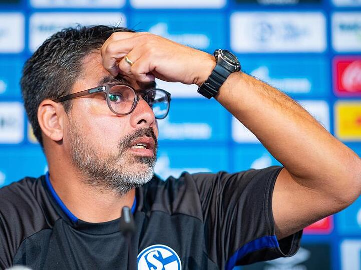 Schalke-Trainer David Wagner auf der Pressekonferenz in Gelsenkirchen.