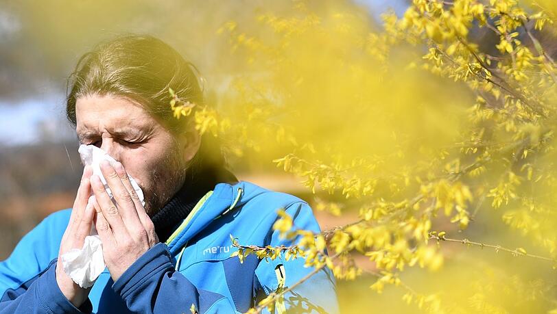 Heftige Pollensaison: Deswegen haben es Allergiker in München diesen Frühling besonders schwer