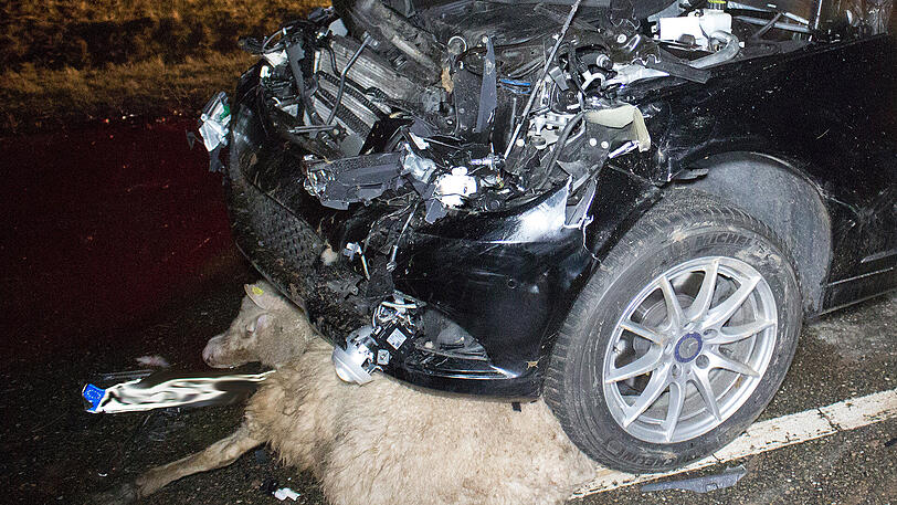 Nichts für schwache Nerven. Ein Mercedes raste mitten in die Herde &ndash; die Bilder vom Bergungseinsatz.
