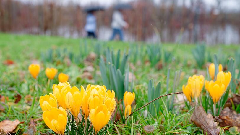 Milde Temperaturen sind für die nächsten Tage vorhergesagt. Milde Temperaturen sind für die nächsten Tage vorhergesagt.