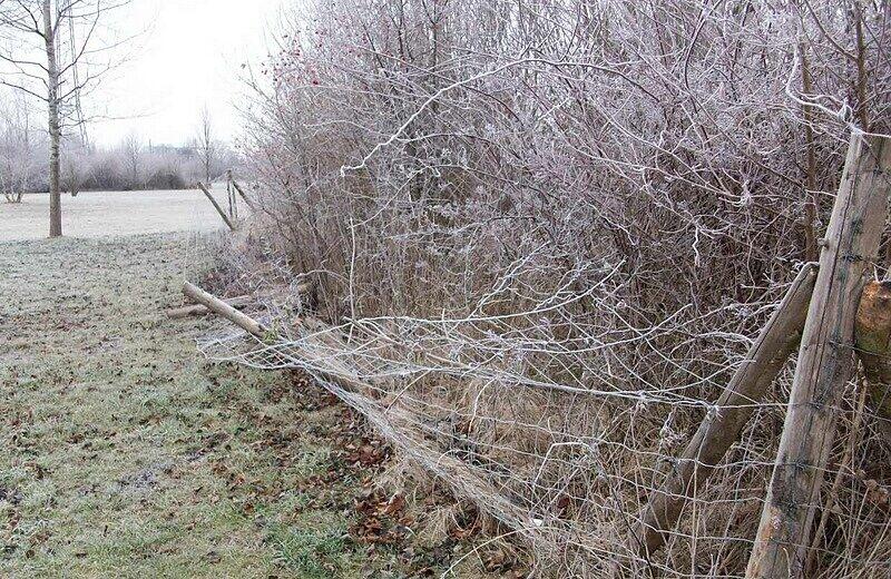 Die Einzäunung an der Langwieder Seenplatte verfällt.