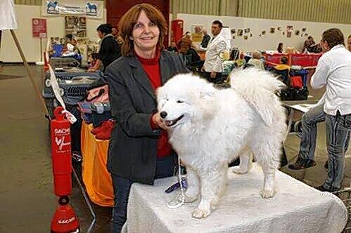 Rosemarie S. und ihre Hündin "Lena" hatten die Nase vorn. Gleich bei ihrem ersten Messe-Auftritt sicherte sich die schneeweise Samojede-Hündin einen Pokal.