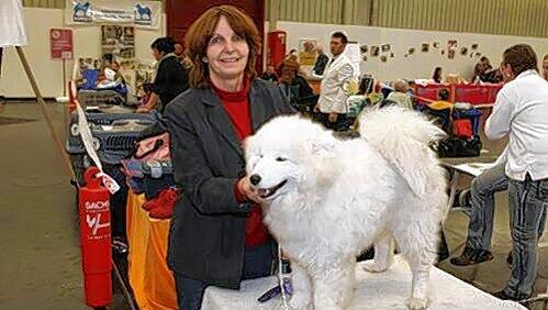 Rosemarie S. und ihre Hündin "Lena" hatten die Nase vorn. Gleich bei ihrem ersten Messe-Auftritt sicherte sich die schneeweise Samojede-Hündin einen Pokal. Rosemarie S. und ihre Hündin "Lena" hatten die Nase vorn. Gleich bei ihrem ersten Messe-Auftritt sicherte sich die schneeweise Samojede-Hündin einen Pokal.