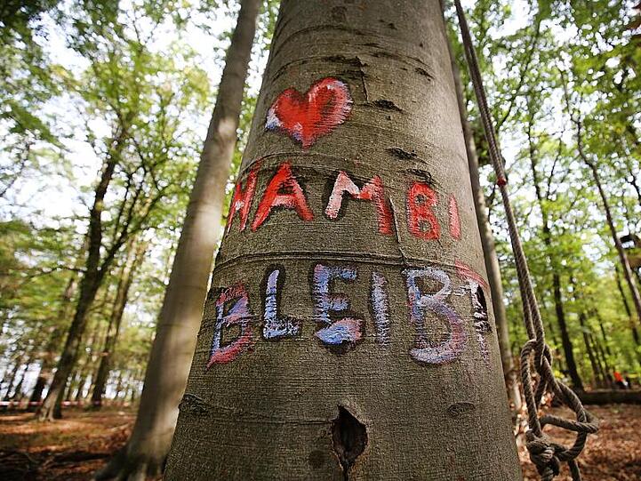 "Ab heute gilt ein Rodungsmoratorium für den Hambacher Forst"." Laut Laschet gilt das Moratorium bis zum Herbst, also bis zur nächsten Rodungssaison.