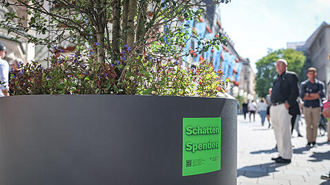 Mit diesen Aufklebern auf Baumk&uuml;beln hat die Stadt im Sommer f&uuml;r Spenden geworben. Mit dem Geld will sie mehr B&auml;ume pflanzen.