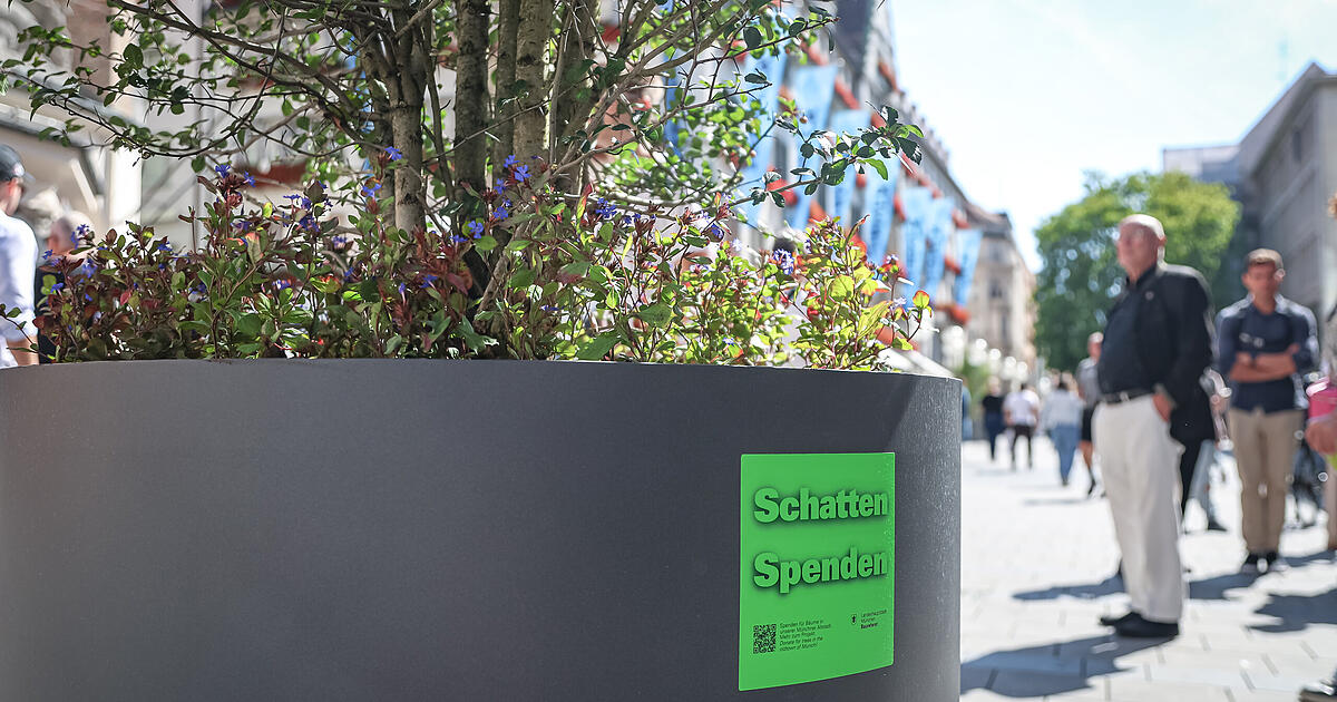 150-B-ume-f-r-die-M-nchner-Altstadt-Wie-viel-Spenden-hat-die-Stadt-schon-gesammelt-