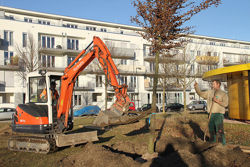 Bei Kaiserwetter wurden die ersten 15 Klimabäume im baum@parc gepflanzt.