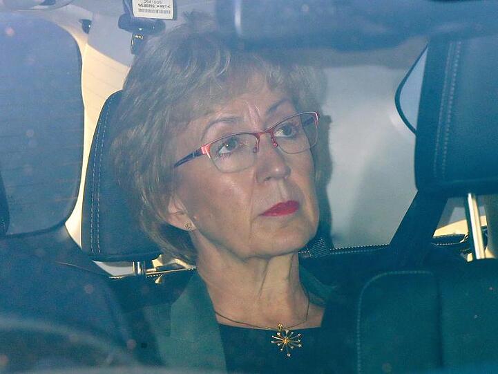 Andrea Leadsom, britische Ministerin für Parlamentsfragen, verlässt die Parlamentsgebäude in Westminster. Leadsom ist zurückgetreten.