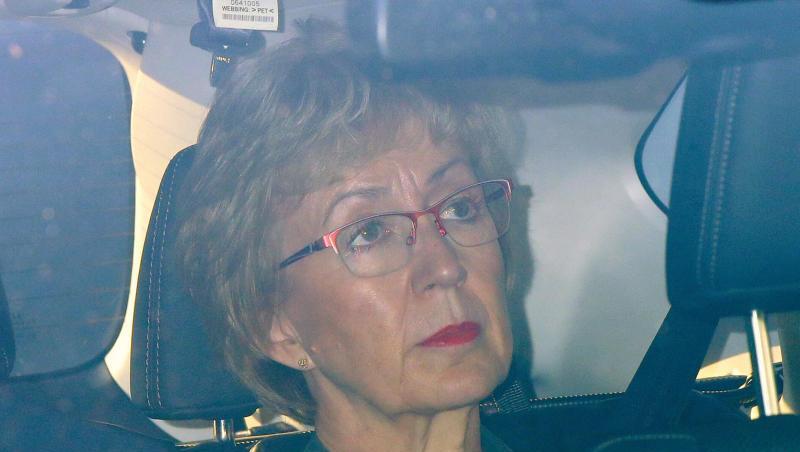 Andrea Leadsom, britische Ministerin für Parlamentsfragen, verlässt die Parlamentsgebäude in Westminster. Leadsom ist zurückgetreten. Andrea Leadsom, britische Ministerin für Parlamentsfragen, verlässt die Parlamentsgebäude in Westminster. Leadsom ist zurückgetreten.