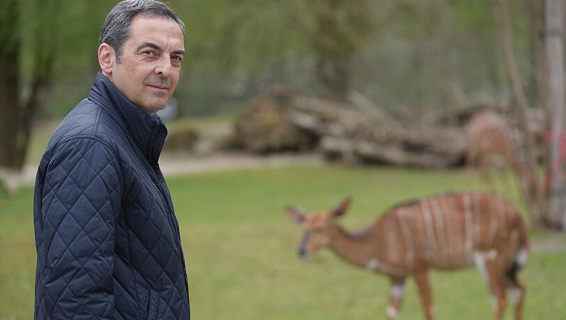 Tierparkchef Rasem Baban bei den Nyalas in Hellabrunn. Normalerweise sind die Tiere enorm scheu und stehen weit weg, wie hier im Bild. Während der Lockdowns ohne Besucher brauchten sie plötzlich Aufmerksamkeit und hatten Fragezeichen im Gesicht.
