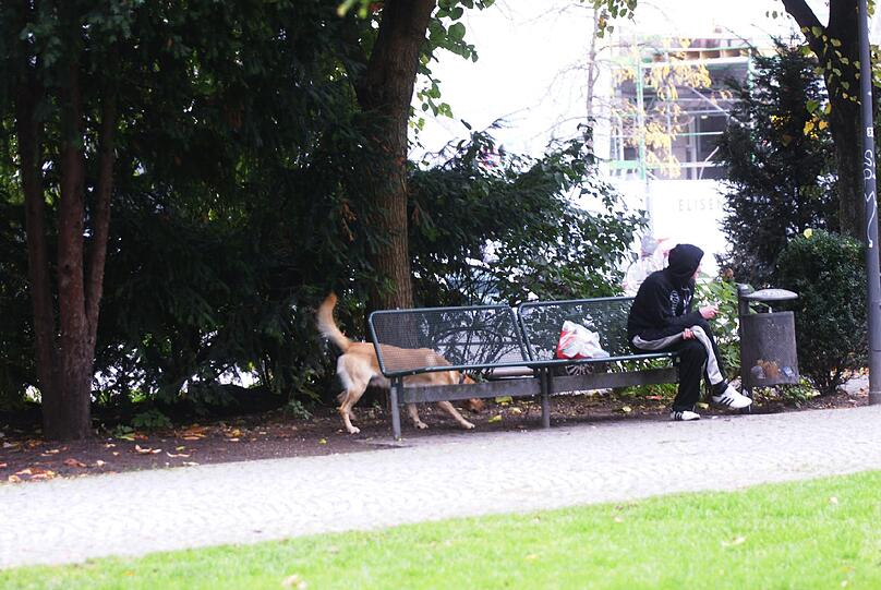 Viel Müll, viele Obdachlose, wenig los: Der Alte Botanische Garten an der Elisenstraße.