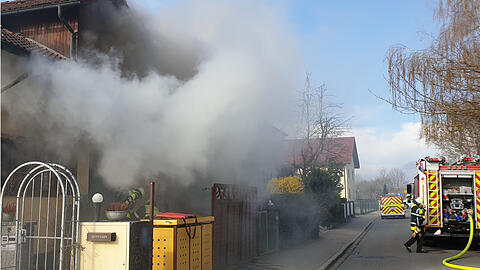 Bei dem Küchenbrand starb eine Katze.