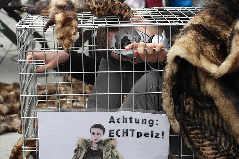 Dieser junge Mann macht&rsquo;s vor: So werden die Kuscheltiere gehalten bevor sie sterben.