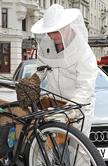 Bienen schwärmen vor allem im Mai und Juni aus - und lassen sich überall nieder. Wie hier 2013 auf einem Radl am Mariannenplatz im Lehel.