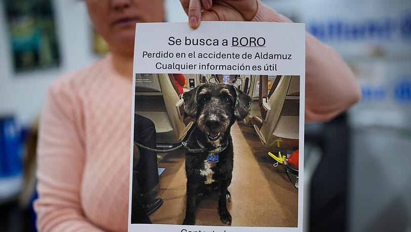 Über diese Familienzusammenführung freut sich ganz Spanien. Über diese Familienzusammenführung freut sich ganz Spanien.