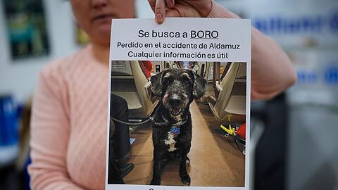 &Uuml;ber diese Familienzusammenf&uuml;hrung freut sich ganz Spanien.