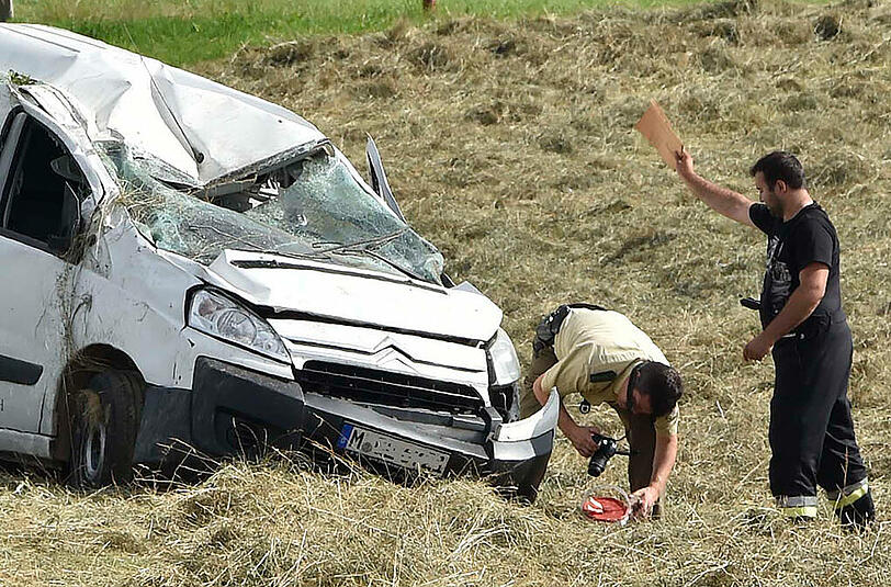 Käfer gegen Polizisten: Die Bilder zu einem denkwürdigen Einsatz.